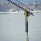 109_9143_JPG-1302381261