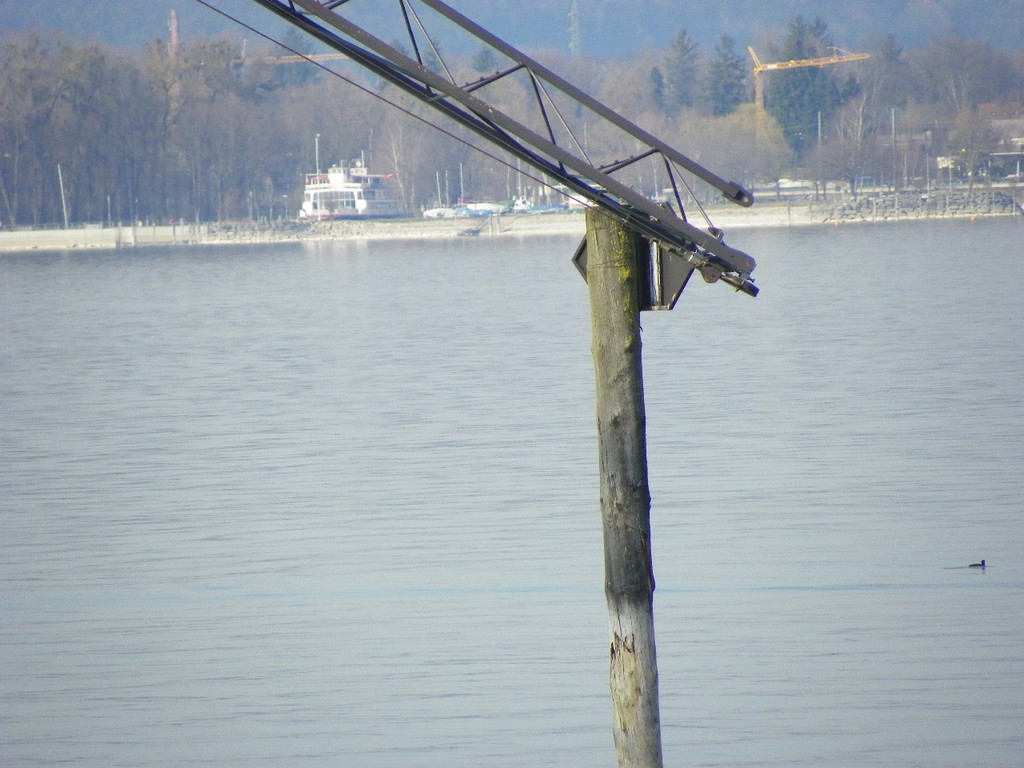 109_9143_JPG-1302381261