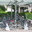 IMG_8762_JPG-1302389455