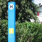 IMG_8624_JPG-1302390160