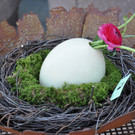 Mehr Fotos des Osterbasars im Rathaus