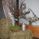 IMG_5266_1.jpg