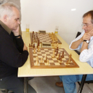 Schach13_jpg-1302442236