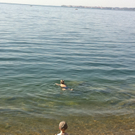 photo3.jpg