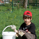 IMG_3632_jpg-1302457612