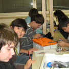 BK_IMG_0778.jpg