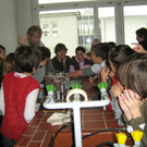 BK_IMG_0780.jpg