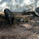DSC04628_JPG-1302462406