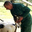 DSC04639_JPG-1302462474