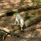 DSC04652_JPG-1302462554