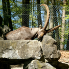 DSC04668_JPG-1302462674