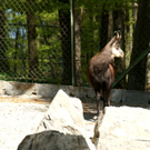 DSC04671_JPG-1302462696