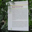 pflanzen-022.jpg
