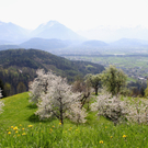 IMG_5451_1.jpg