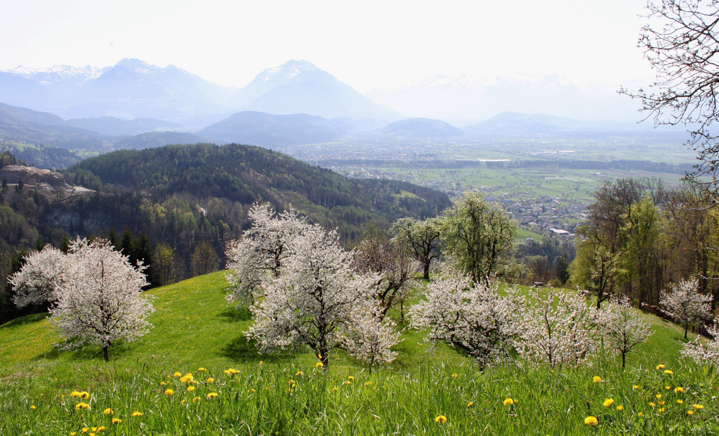 IMG_5451_1.jpg