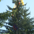 Paragleiter-Rettung in Schwarzenberg