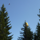 P1010066.JPG
