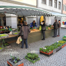 DSCN4466_JPG-1302498278