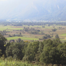 Ruggeller Ried_JPG-1302502852