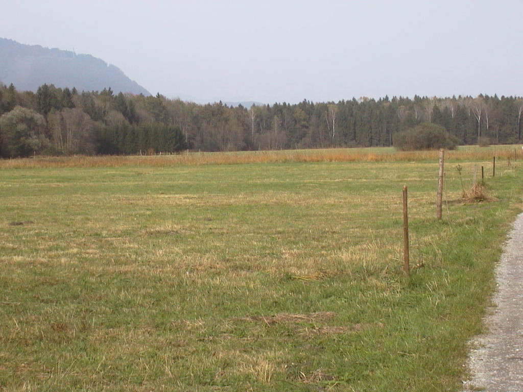 Bangser Ried_JPG-1302502795