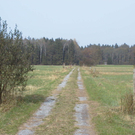 Bangser Ried1_JPG-1302502800