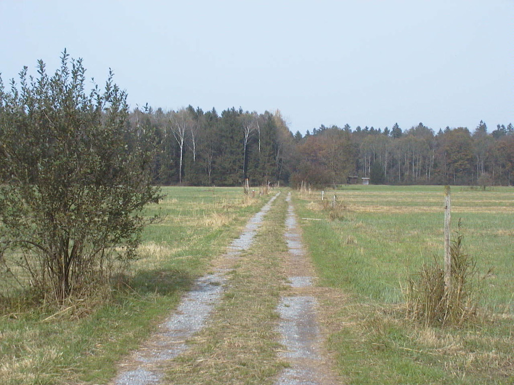 Bangser Ried1_JPG-1302502800