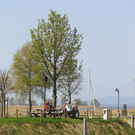 Reportage Schwedenschanze50.jpg
