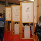 Kulturabend BG Dornbirn