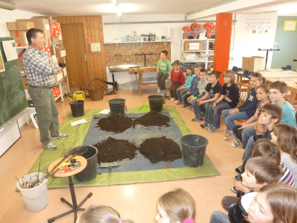 Schulprojekt Reben M__rz 201119_JPG-1302524945