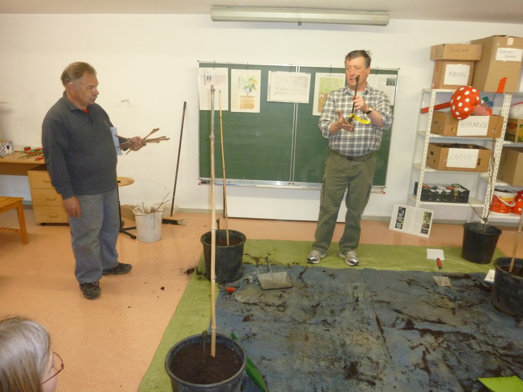 Schulprojekt Reben M__rz 20114_JPG-1302525199