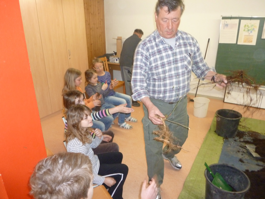 Schulprojekt Reben M__rz 20116_JPG-1302525323