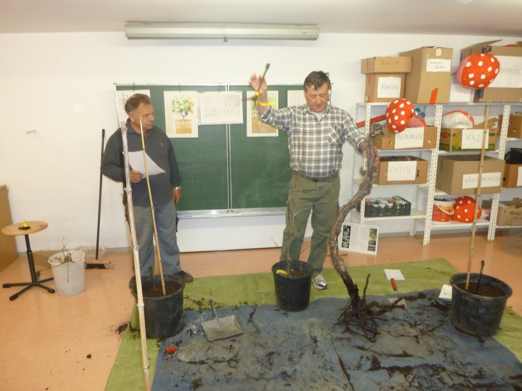 Schulprojekt Reben M__rz 201118_JPG-1302525446