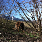 IMG_0305_JPG-1302534085