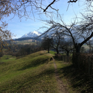 IMG_0308_JPG-1302534104