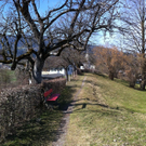 IMG_0310_JPG-1302534109