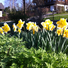 IMG_0364_JPG-1302534176