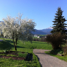 IMG_0365_JPG-1302534182