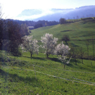 IMG_0385_JPG-1302534216