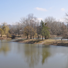 damm1_jpg-1302543043