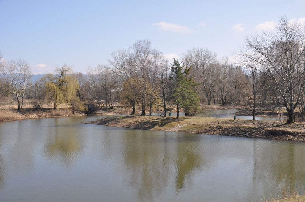 damm1_jpg-1302543043