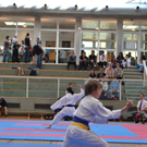 DSC_0133.jpg