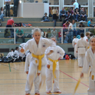 DSC_0169.jpg