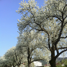 photo1.jpg
