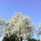 photo2.jpg