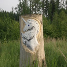 Einhorn_jpg-1302595762