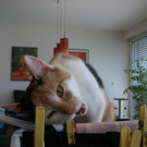 Mia von Kurt 3.JPG