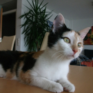 Mia von Kurt 4.JPG