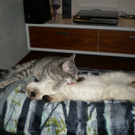 Victoria und Nico von Fam_ Lampert aus G__fis 1.jpg