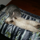 Victoria und Nico von Fam_ Lampert aus G__fis 3.jpg