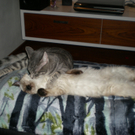 Victoria und Nico von Fam_ Lampert aus G__fis 4.jpg